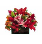 Arranjo Centro De Mesa