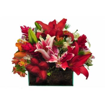 Arranjo Centro de Mesa