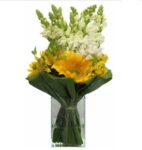 Boca de Leão com Girassol