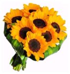 Buquê de Girassóis