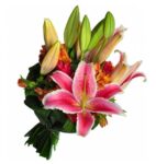 Buquê de Lírios Rose Sem Vidro