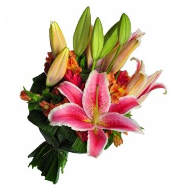 Buquê de Lírios Rose Sem Vidro