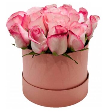 Caixa Box Rose
