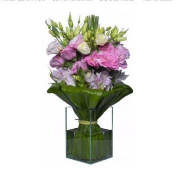 Carinho de Liziantus