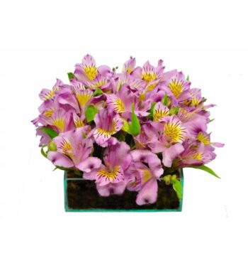 Centro de Mesa Eventos