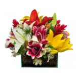 Centro de Mesa para Eventos