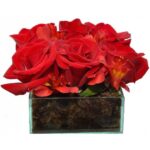 Delicadeza de Rosas Vermelhas