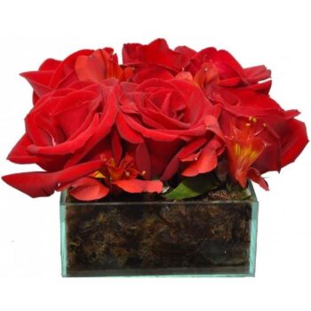 Delicadeza de Rosas Vermelhas