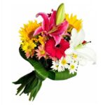 Flores do Campo Mistas