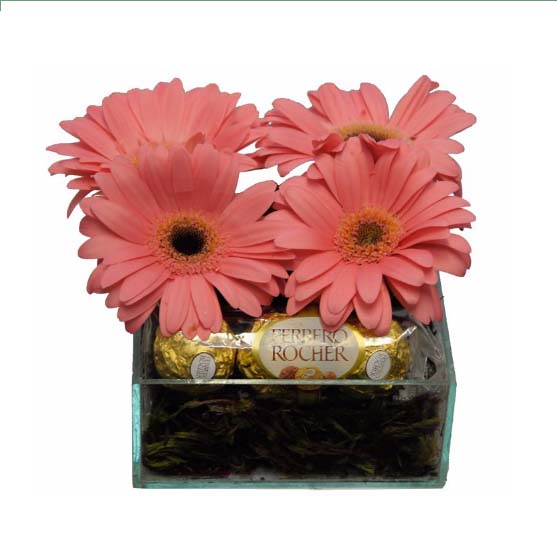 Gerberas e Tri Ferrero