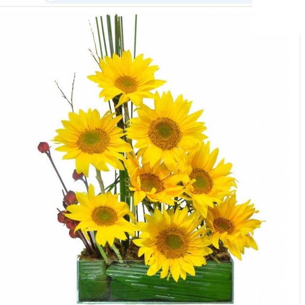 Girassol Iluminado Grande