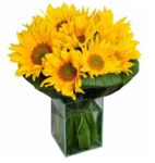 Girassol Iluminado Médio