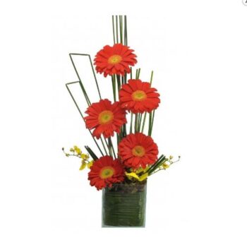 Ikebana de Gerberas