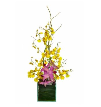 Ikebana de Orquídea