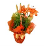 Lirio Laranja Plantado