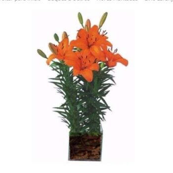 Lirio Laranja Plantado No Vidro