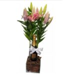 Lirio Plantado Com Chandon