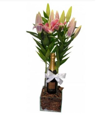 Lirio Plantado Com Chandon