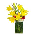 Lirios Encantado Amarelo Grande