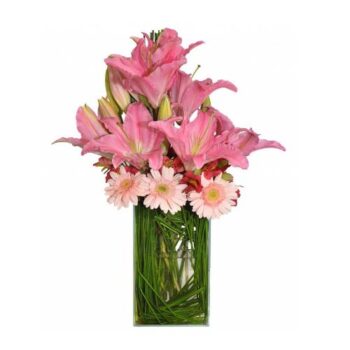 Lirios Encantado Rosa Grande