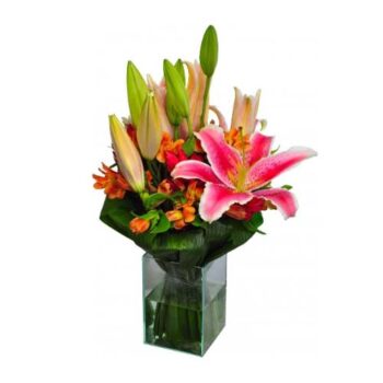 Lírios Rosa No Vidro Médio