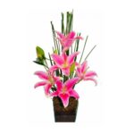 Lirios Rosa Perfumados