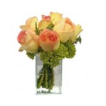 Mimo Rosas Ambiênce