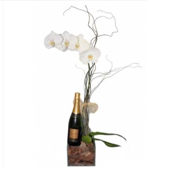 Orquídea com Chadon