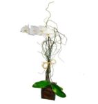 Orquidéa phalaenopsis Branca