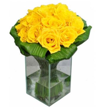 Rosas Amarelas no Vidro Médio