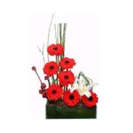 Simpático Red de Gerberas