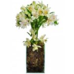 Topiaria-de-Alstromerias2