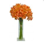 Vidrinho Alstroemérias