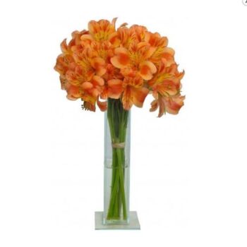 Vidrinho Alstroemérias