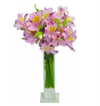 Vidrinho Alstromérias