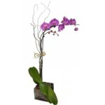 Orquidéa Lilás no Vidro