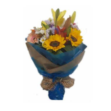 Cuidados com orquídeas