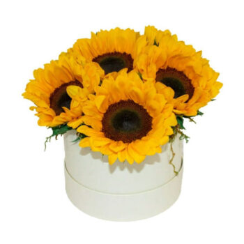 Box de Girassois Especial