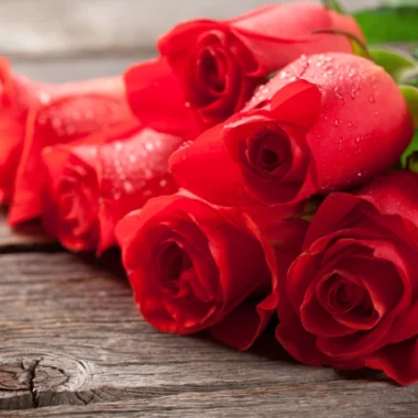 4 dicas para cuidar de flores em dias quentes