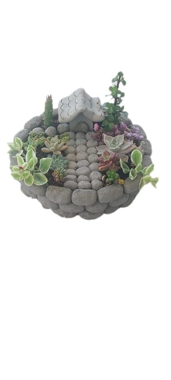 Jardim vivo de suculentas